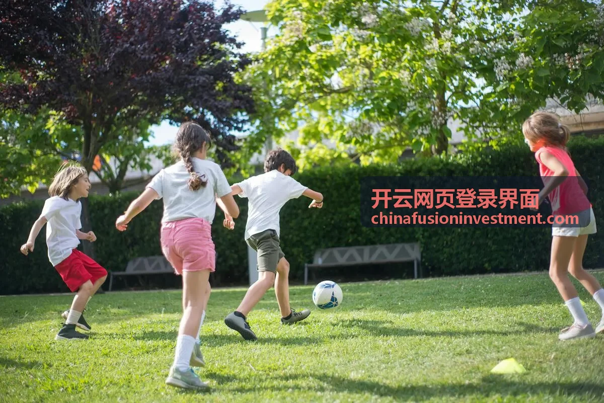 开云网页登录界面登录后记录与设备核对封面
