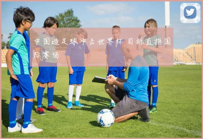 中国造足球冲击世界杯 目标直指国际赛场
